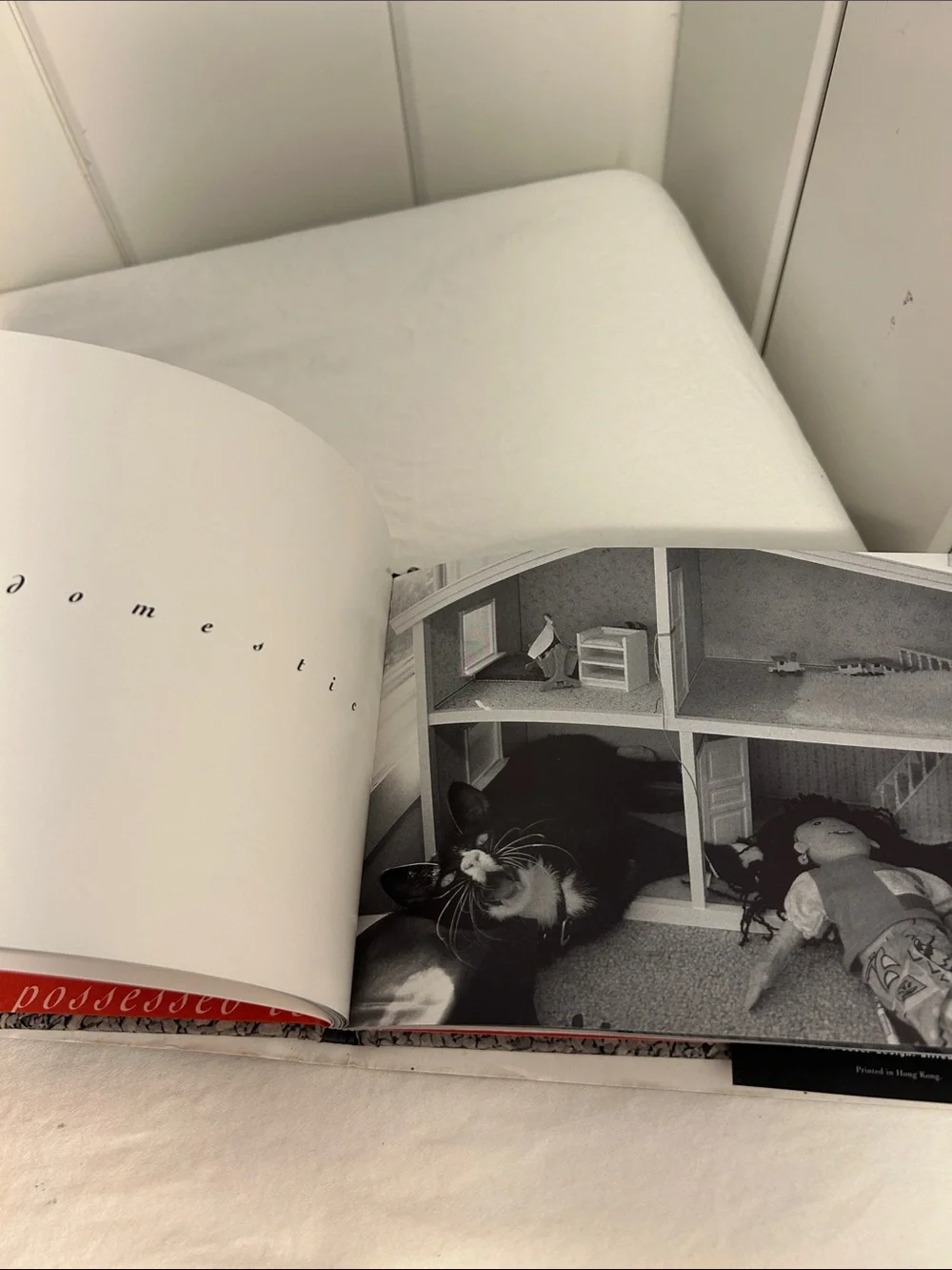 90s cat book What Cats Are cat photography book 1990s black and white art photos